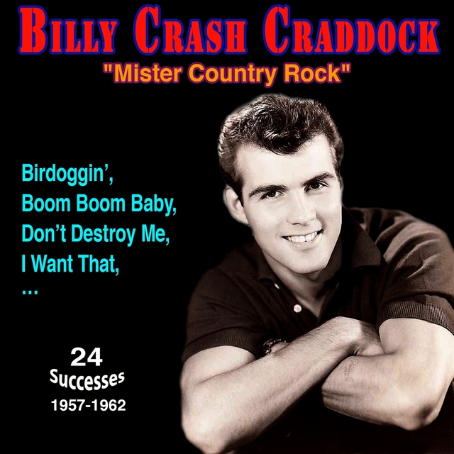 Couverture de Mr. Country Rock Boom Boom Baby