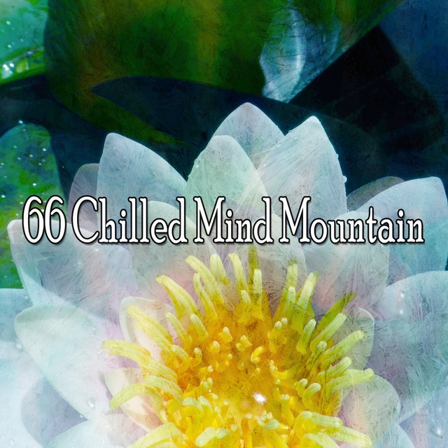 66 Chilled Mind Mountain