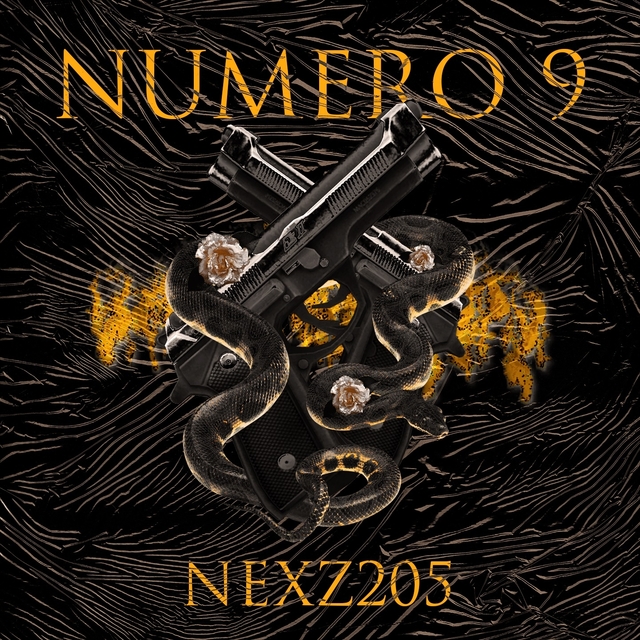 Couverture de Numero 9