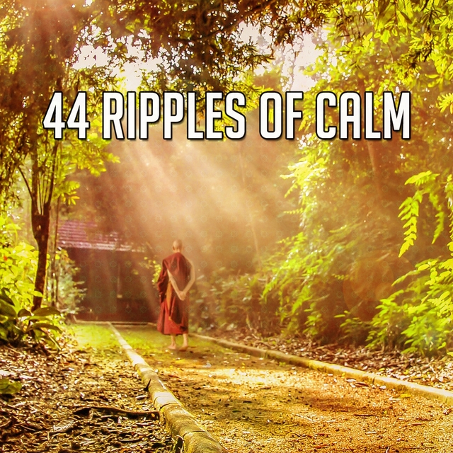 44 Ripples of Calm
