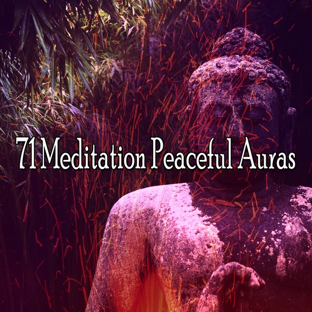 71 Meditation Peaceful Auras
