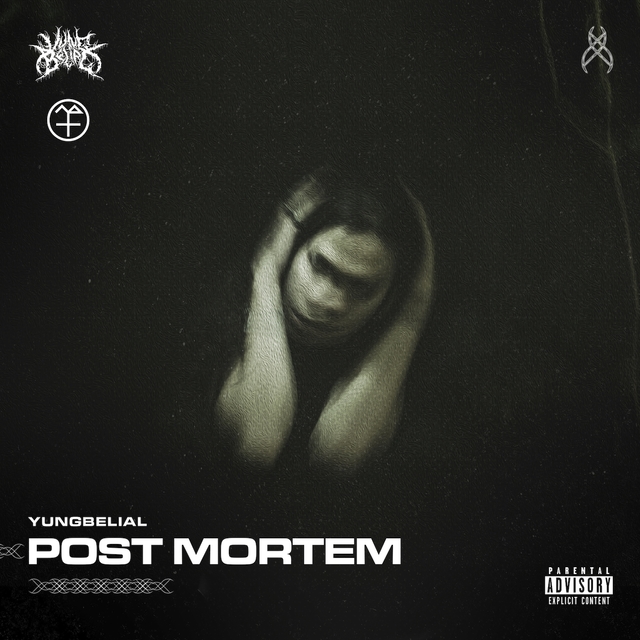 Couverture de POST MORTEM