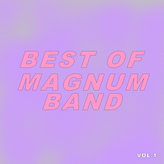 Couverture de Best Of Magnum Band