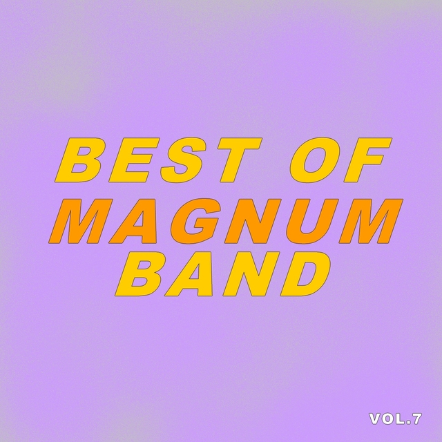 Couverture de Best Of Magnum Band