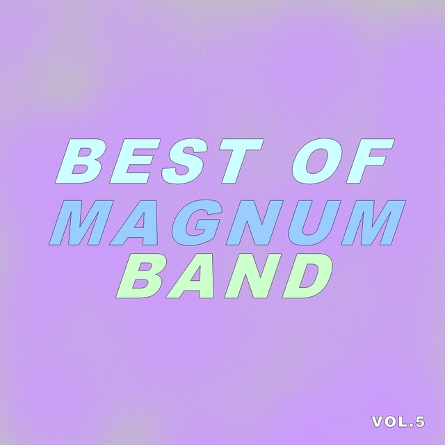 Couverture de Best Of Magnum Band