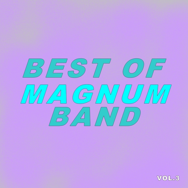 Couverture de Best Of Magnum Band