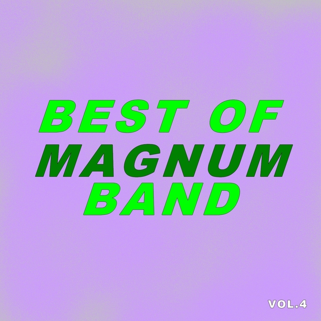 Couverture de Best Of Magnum Band