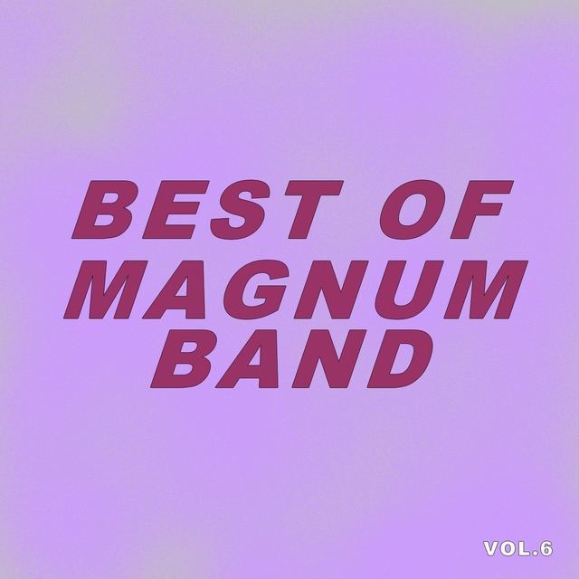 Couverture de Best Of Magnum Band