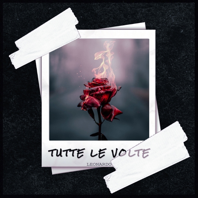 Couverture de Tutte le volte