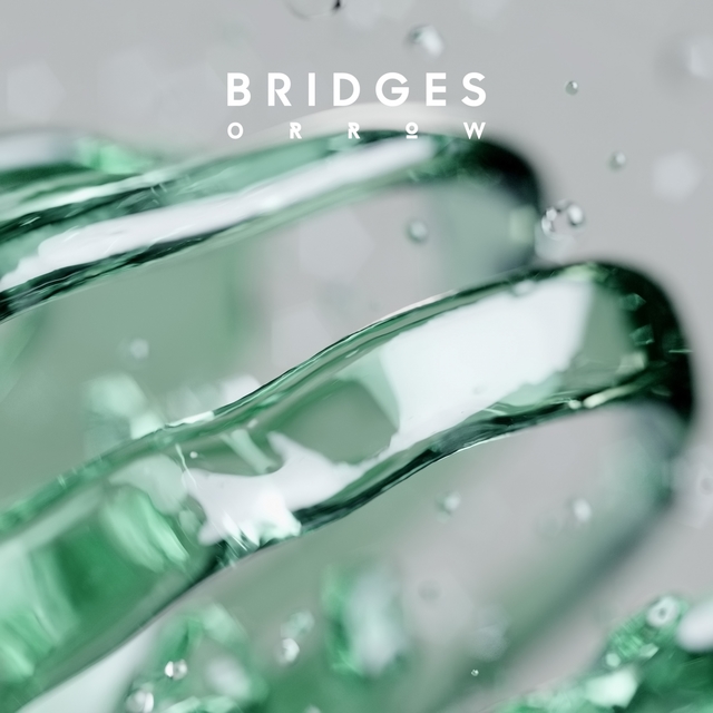 Couverture de Bridges