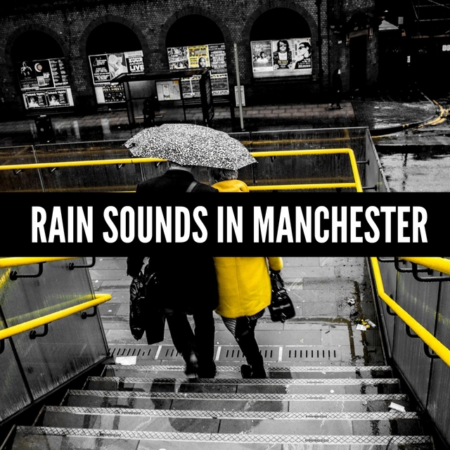 Couverture de Rain Sounds in Manchester