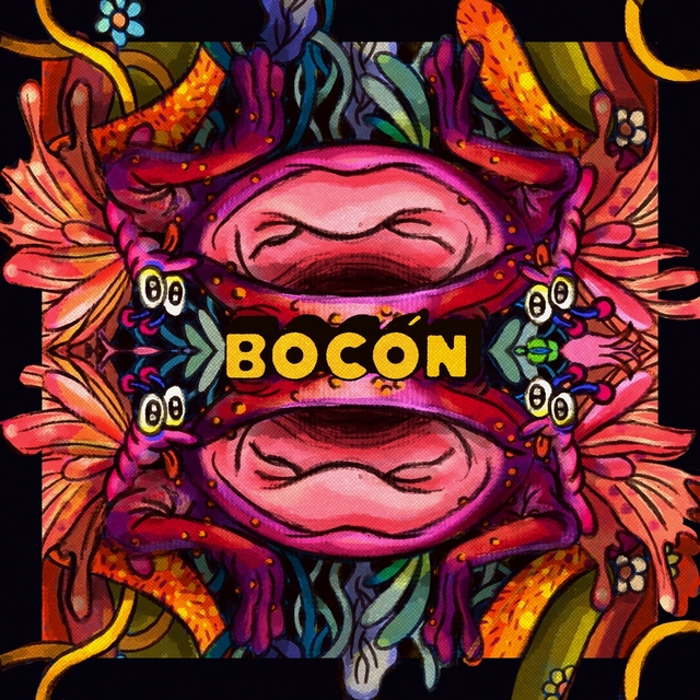 Couverture de Bocón