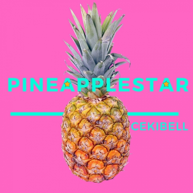 Couverture de Pineapplestar (Pappappirippa)