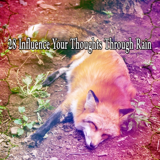 28 Influence Your Thoughts Through Rain