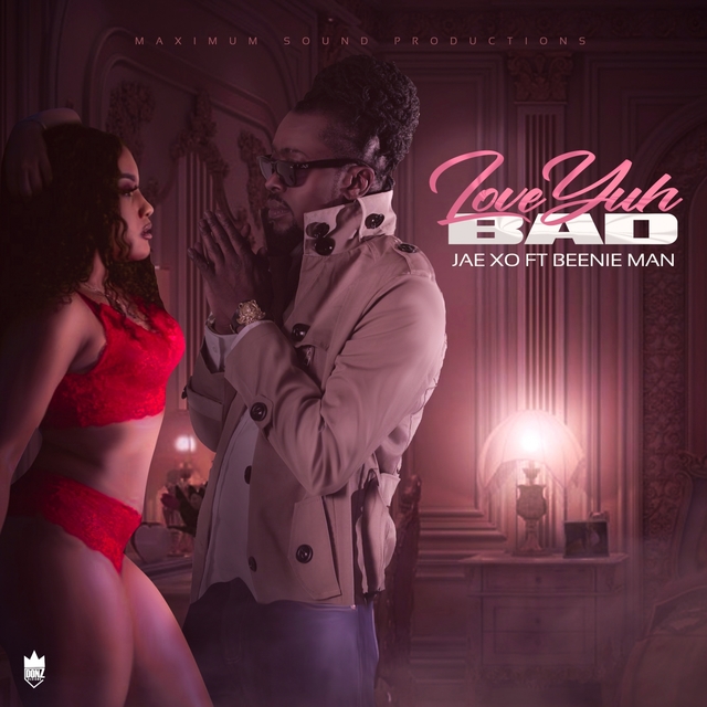 Couverture de Love Yuh Bad