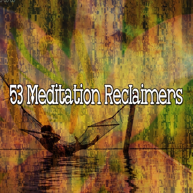 53 Meditation Reclaimers