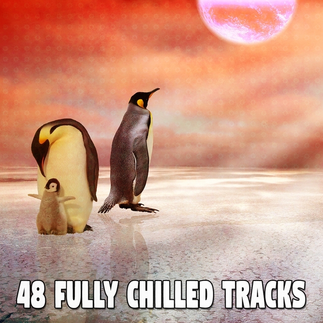 48 Fully Chilled Tracks