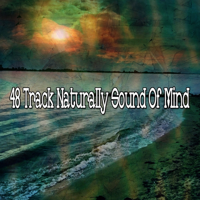 48 Track Naturally Sound Of Mind