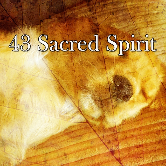 43 Sacred Spirit