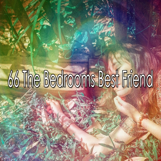 Couverture de 66 The Bedrooms Best Friend