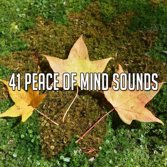 41 Peace of Mind Sounds