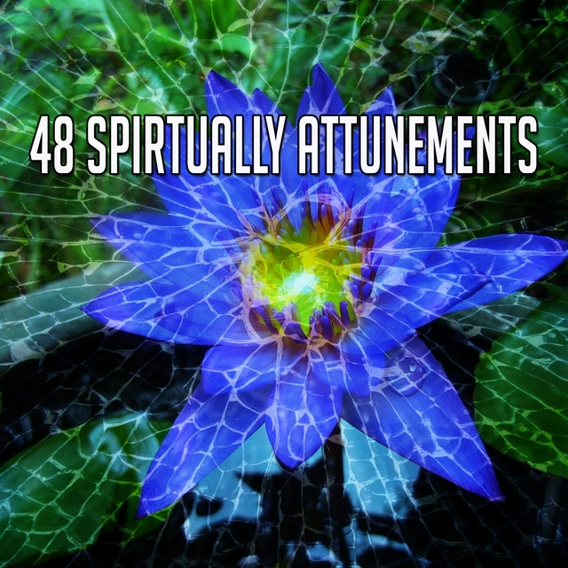 48 Spirtually Attunements
