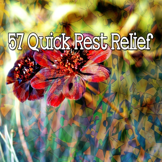 Couverture de 57 Quick Rest Relief