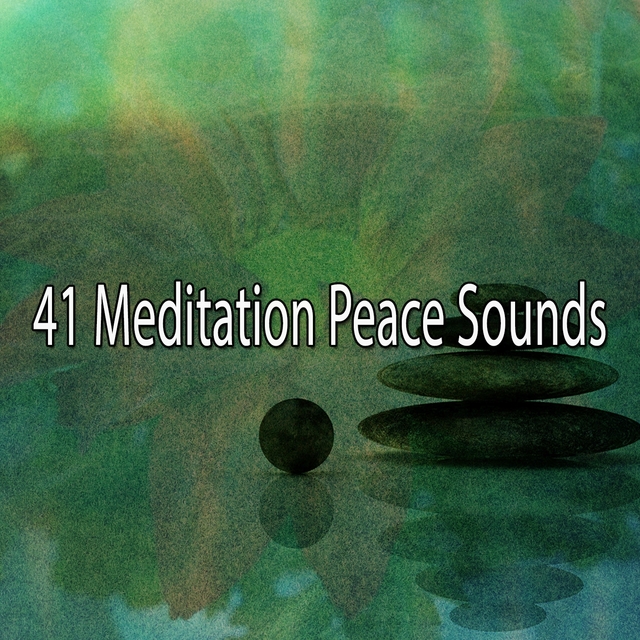 41 Meditation Peace Sounds