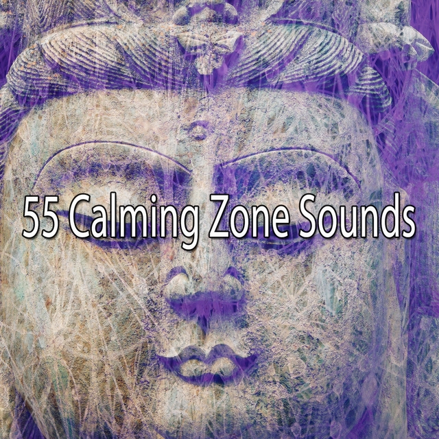 55 Calming Zone Sounds