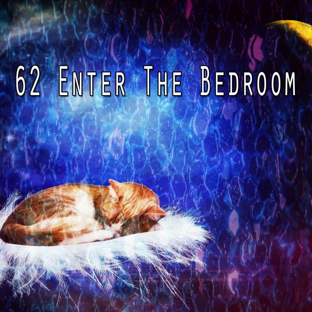 62 Enter the Bedroom