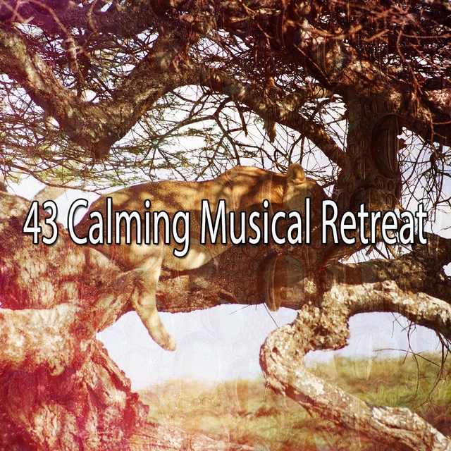 43 Calming Musical Retreat