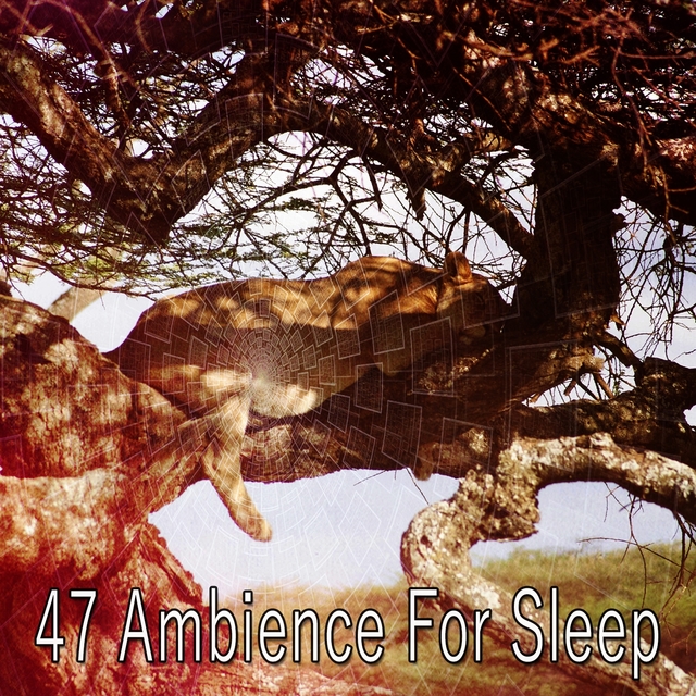 47 Ambience for Sle - EP