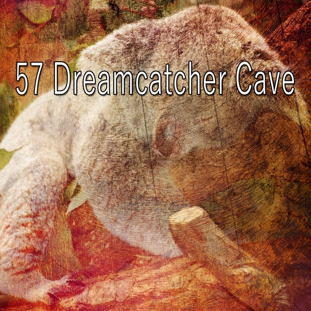 Couverture de 57 Dreamcatcher Cave