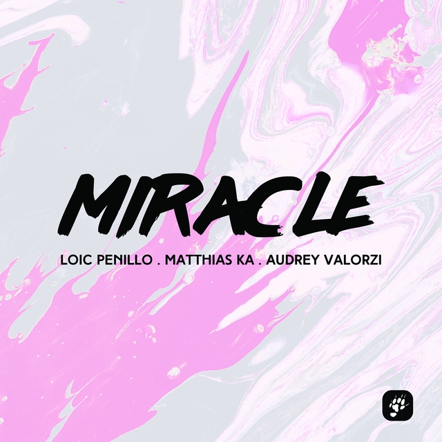 Couverture de Miracle