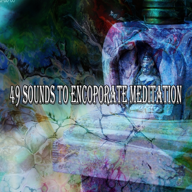 Couverture de 49 Sounds to Encoporate Meditation