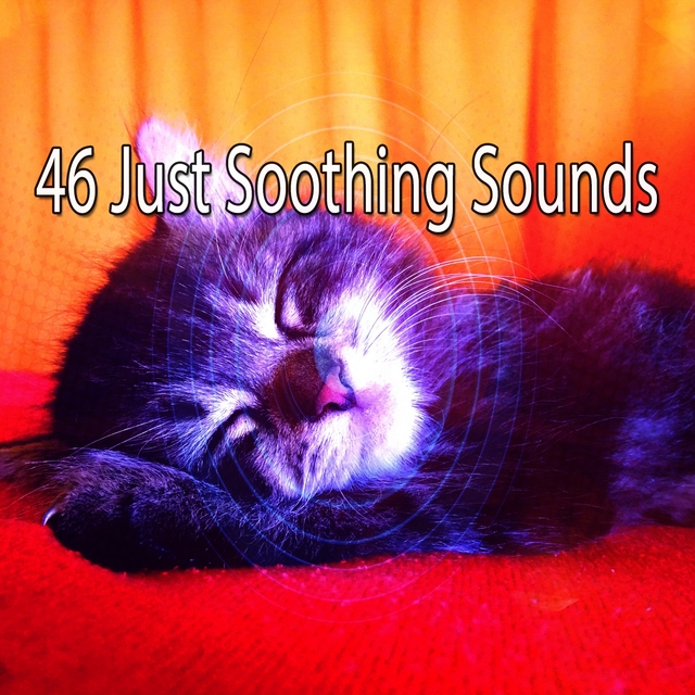 Couverture de 46 Just Soothing Sounds