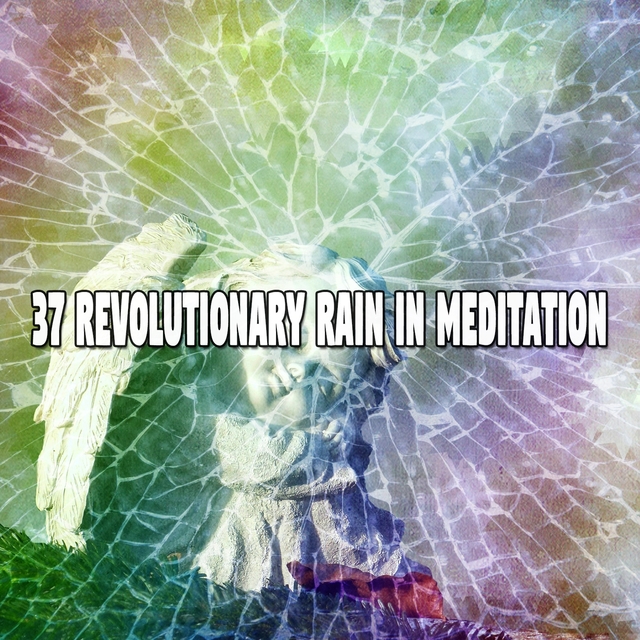 37 Revolutionary Rain in Meditation