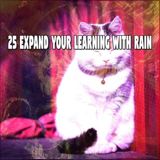 25 Expand Your Learning with Rain