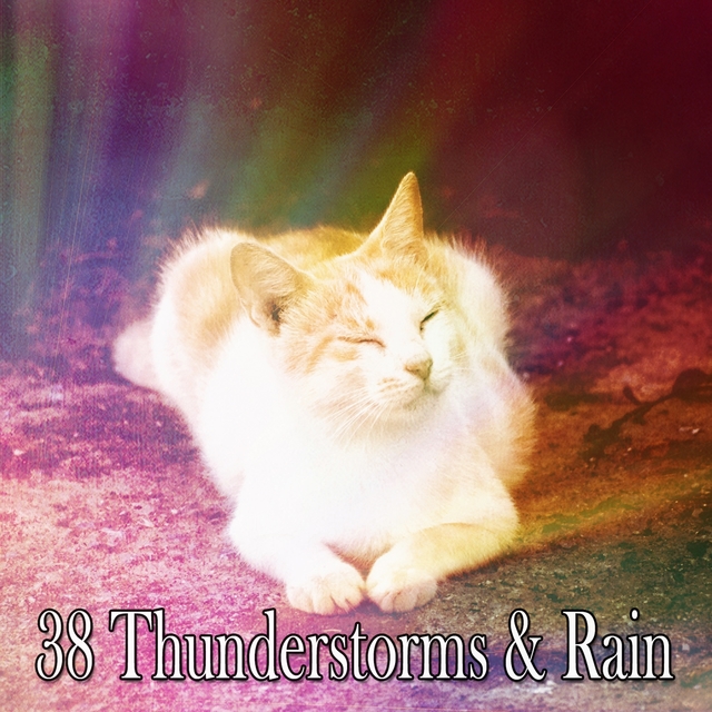 38 Thunderstorms & Rain