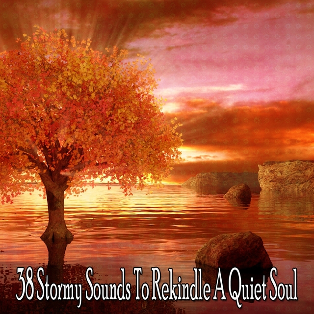 38 Stormy Sounds to Rekindle a Quiet Soul