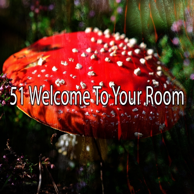 51 Welcome to Your Room