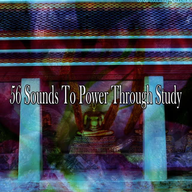 56 Sounds to Power Through Study