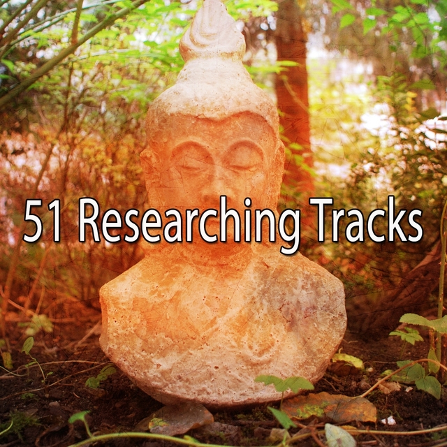 51 Researching Tracks