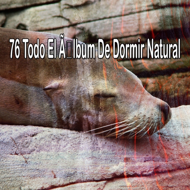 76 Todo El Album De Dormir Natural