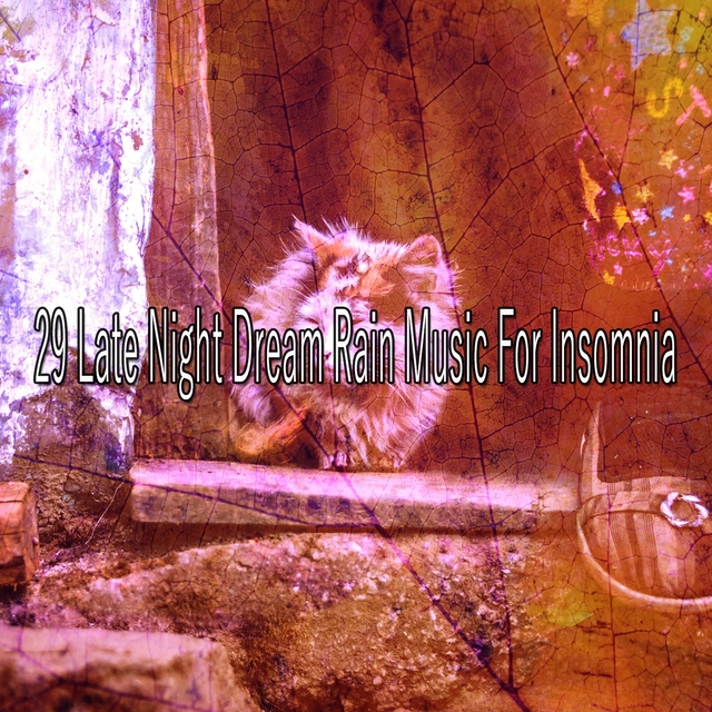 Couverture de 29 Late Night Dream Rain Music for Insomnia