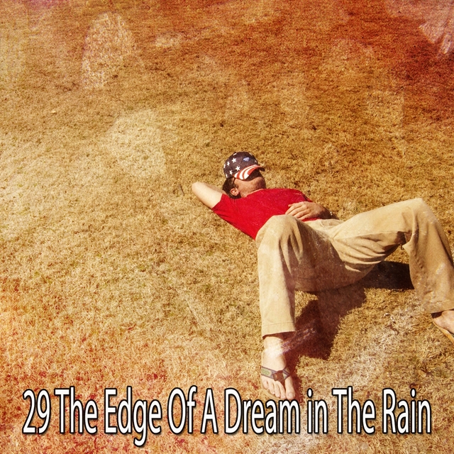 29 The Edge of a Dream in the Rain