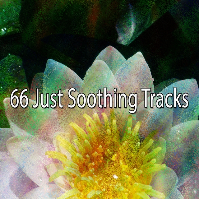 66 Just Soothing Tracks