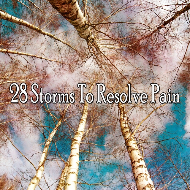 Couverture de 28 Storms to Resolve Pain