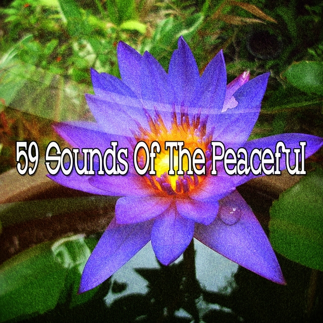 59 Sounds of the Peaceful