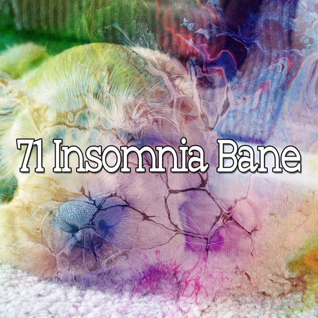 71 Insomnia Bane